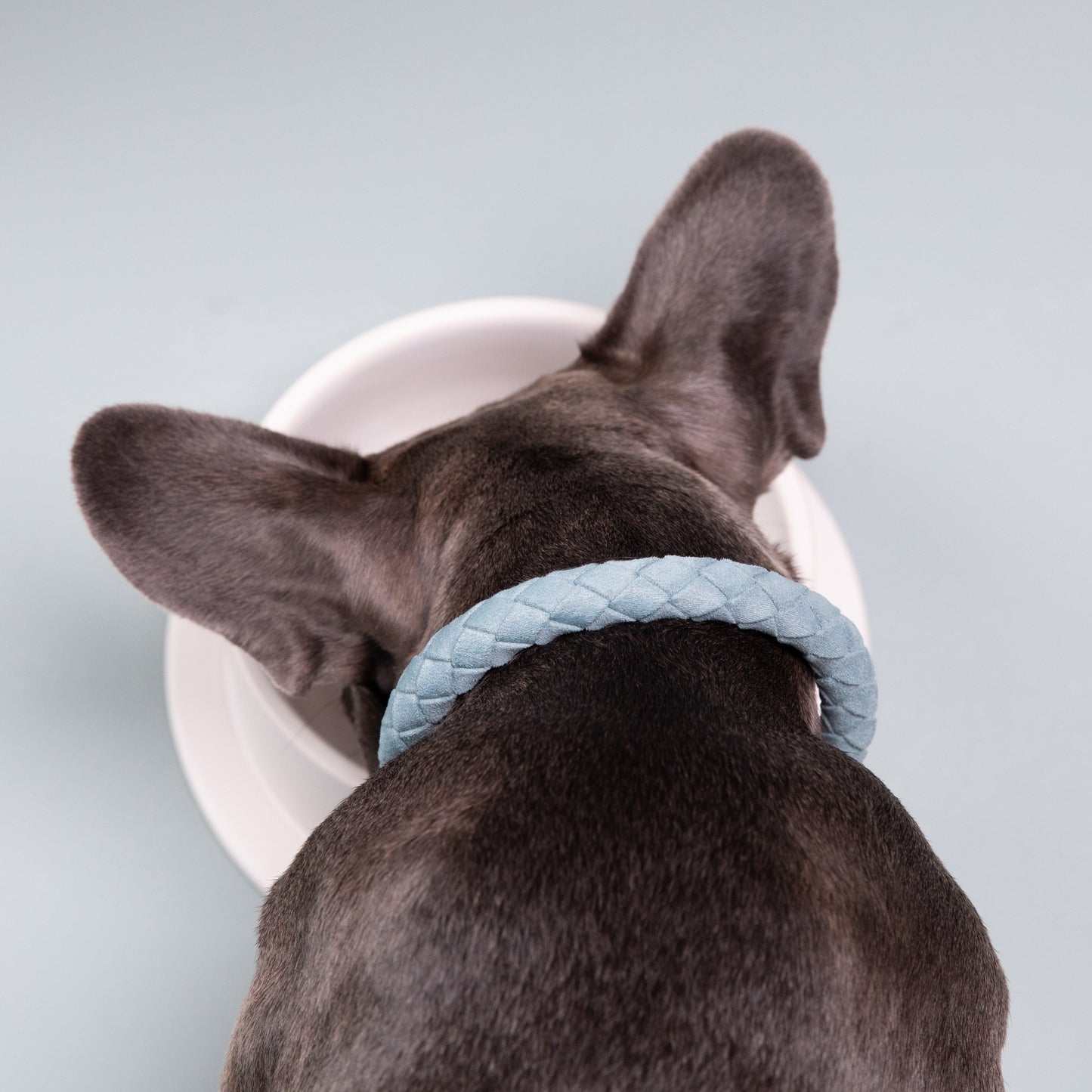 Ferdinando - Microfiber Collar by 2.8