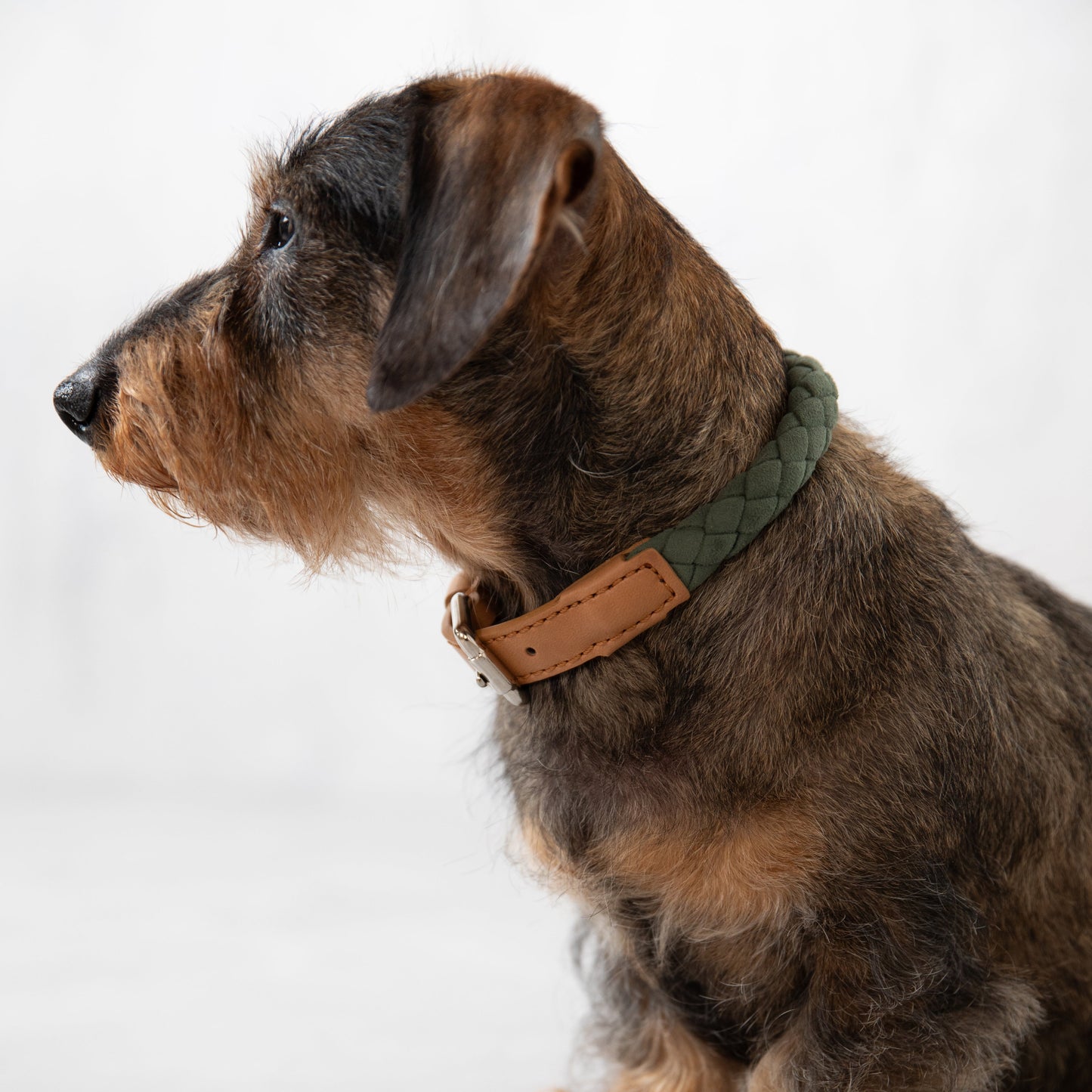 Ferdinando - Microfiber Collar by 2.8