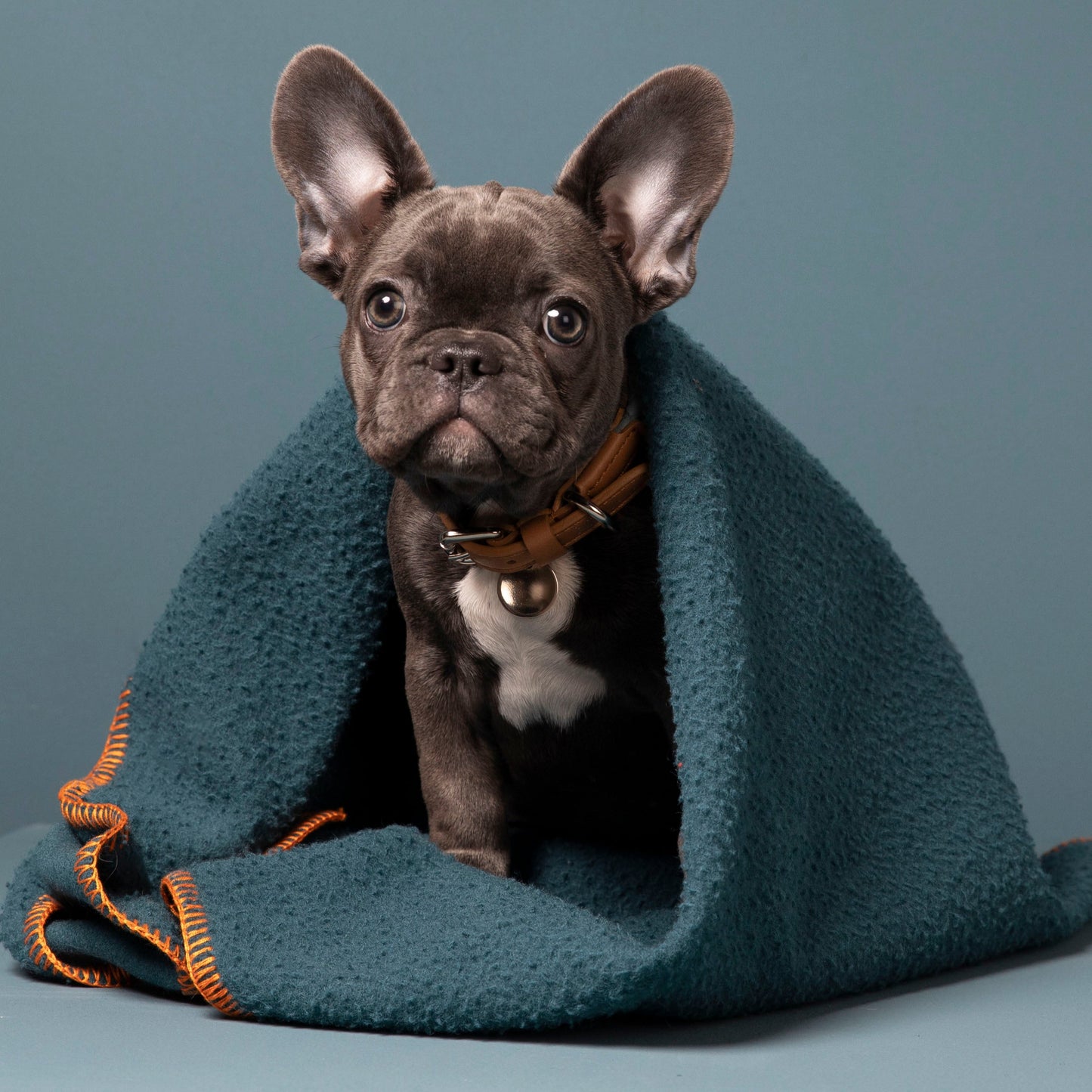 Ansel - Casentino Blanket by 2.8