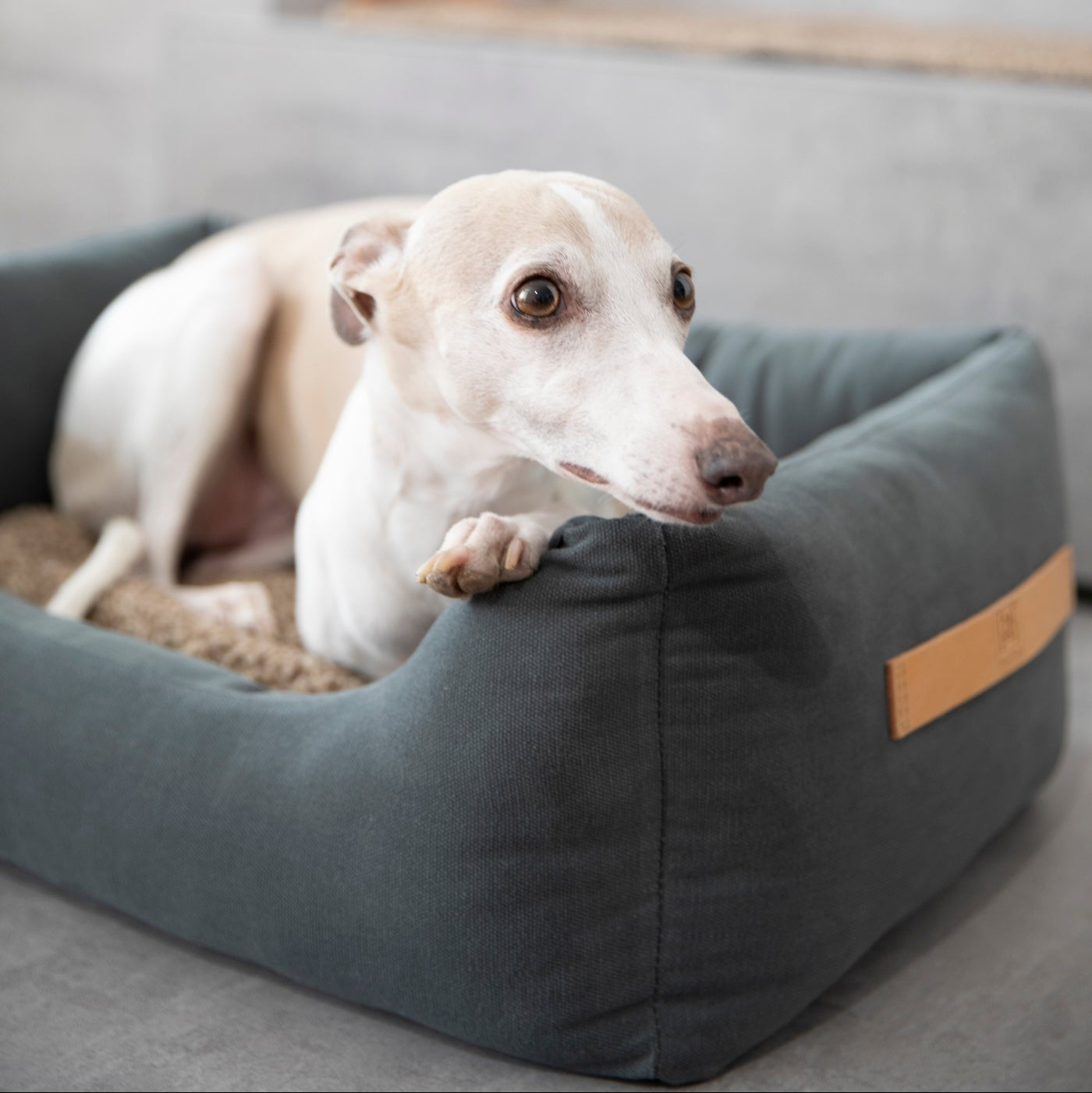 Henri - Canvas Cotton Dog Bed by 2.8