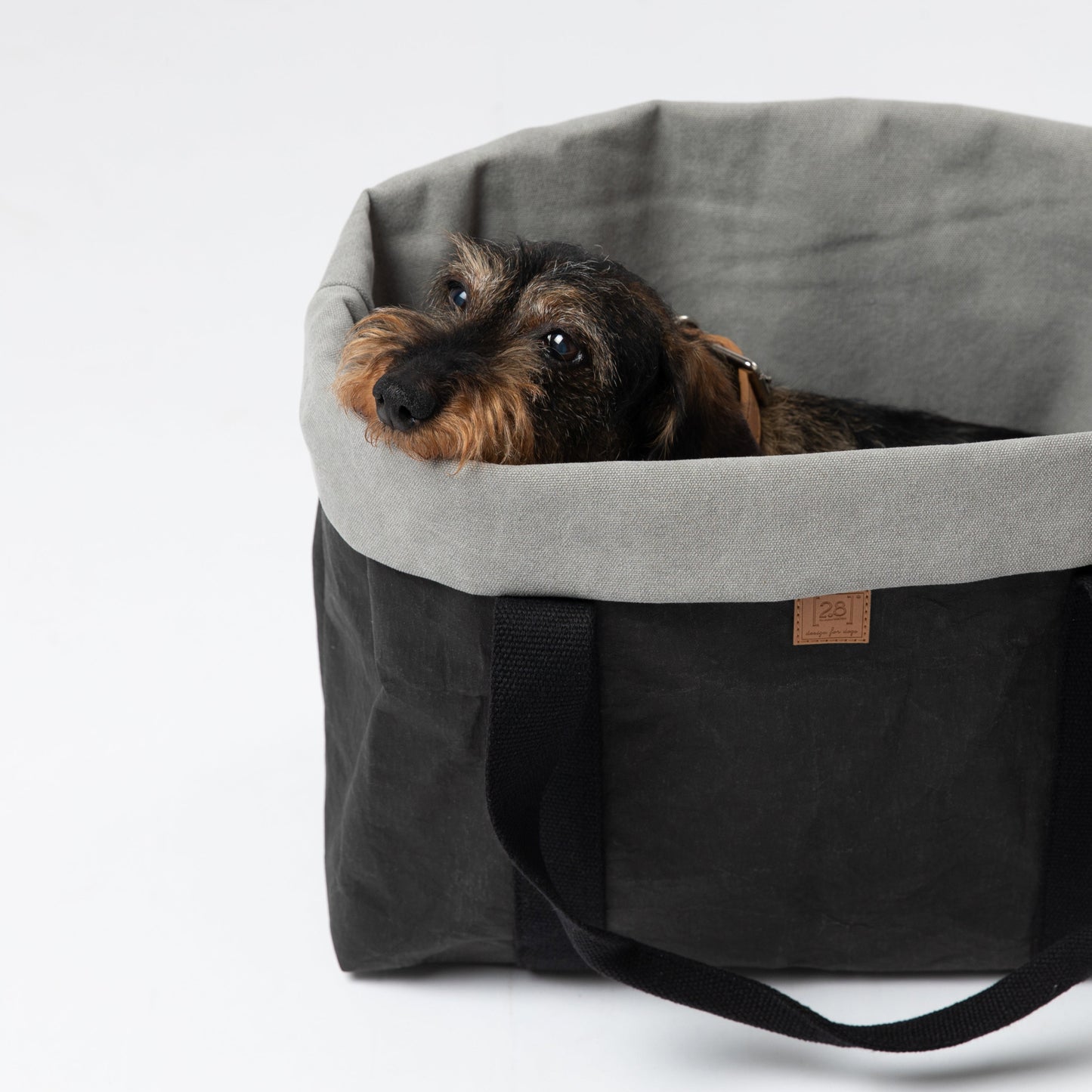 Dorothea - Paper Dog Bag with Cotton by 2.8