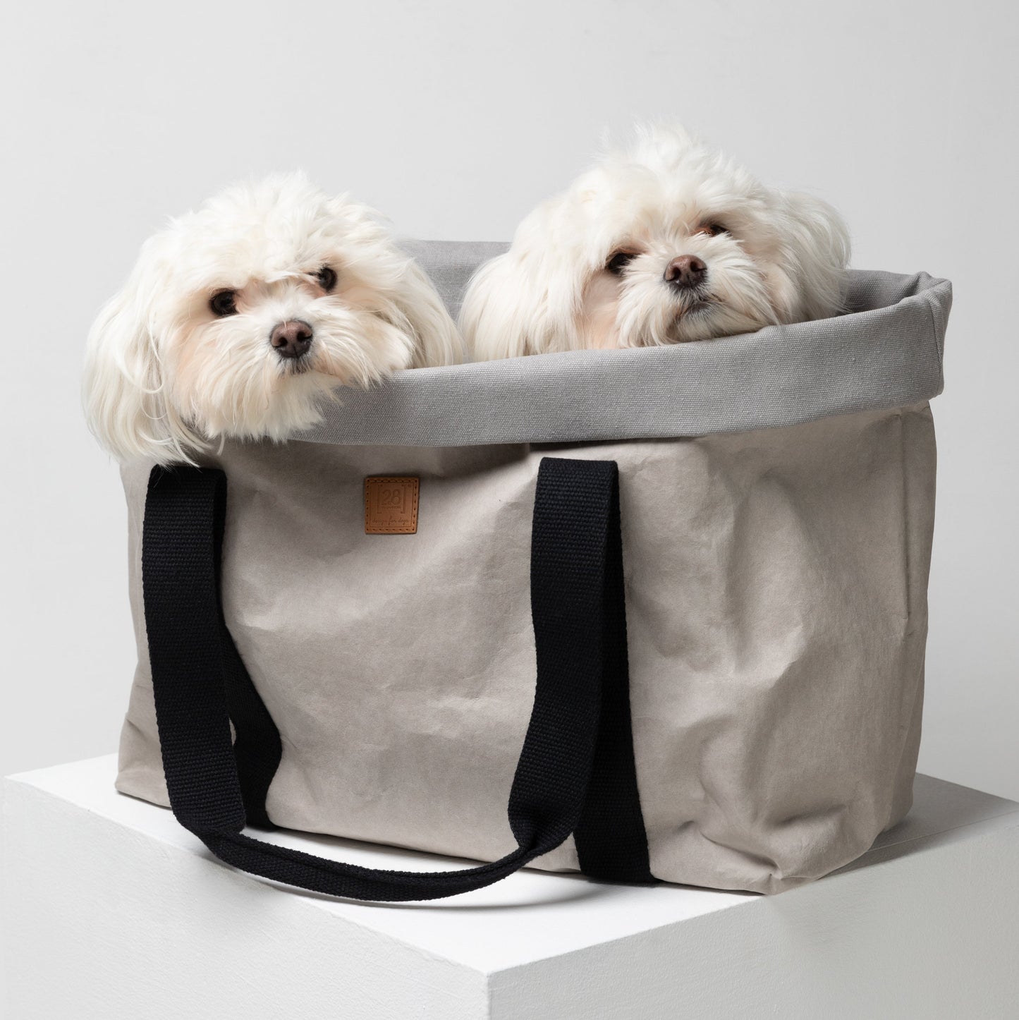 Dorothea - Paper Dog Bag with Cotton by 2.8