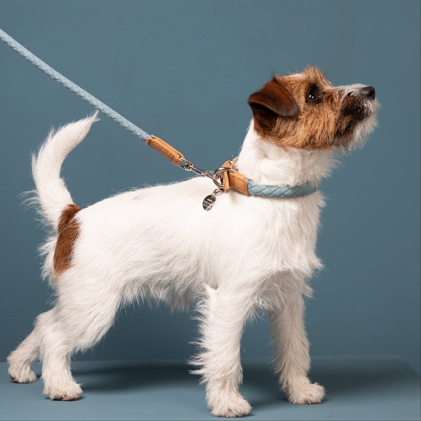 Ferdinando - Microfiber Collar by 2.8