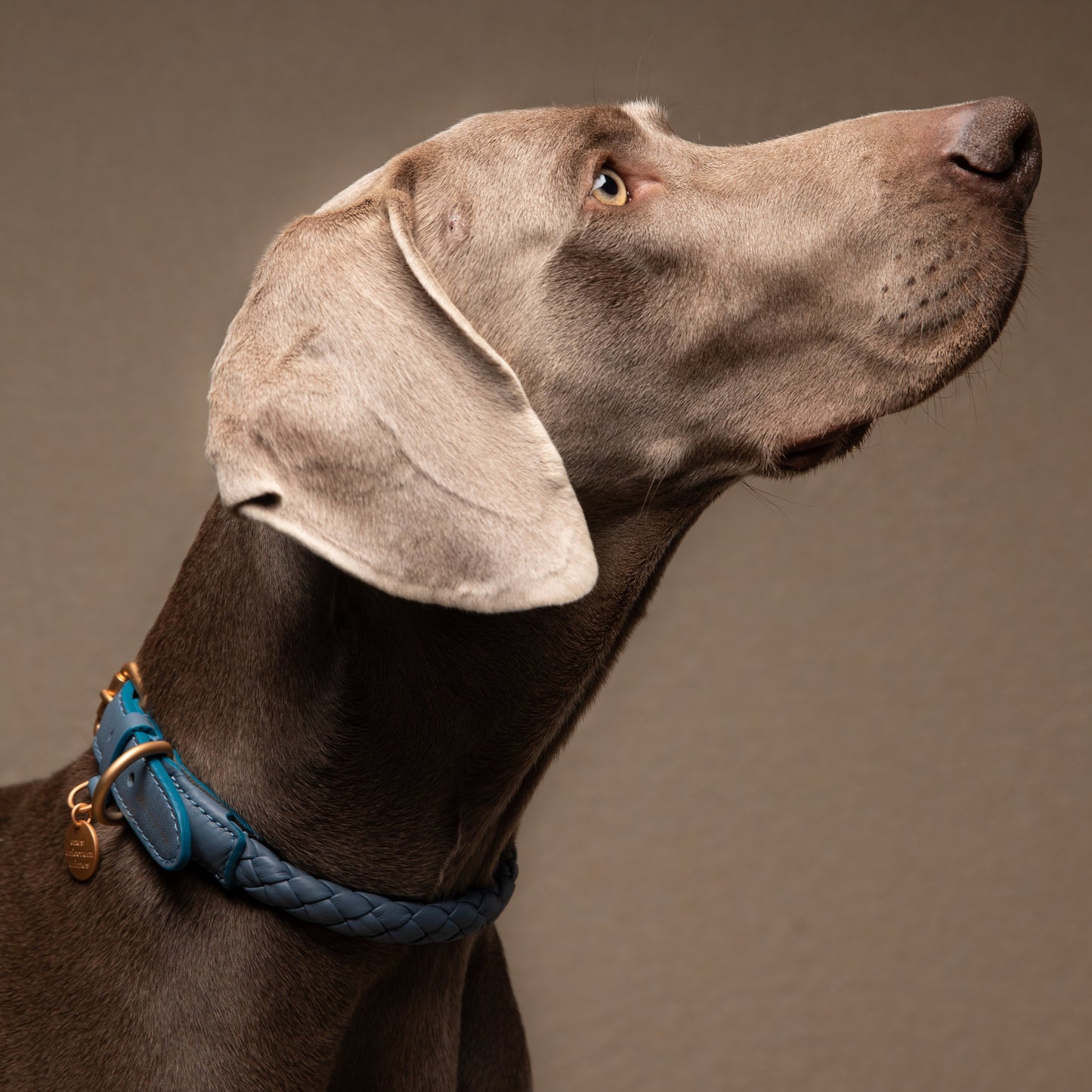 Ferdinando - Real Nappa Leather Collar by 2.8