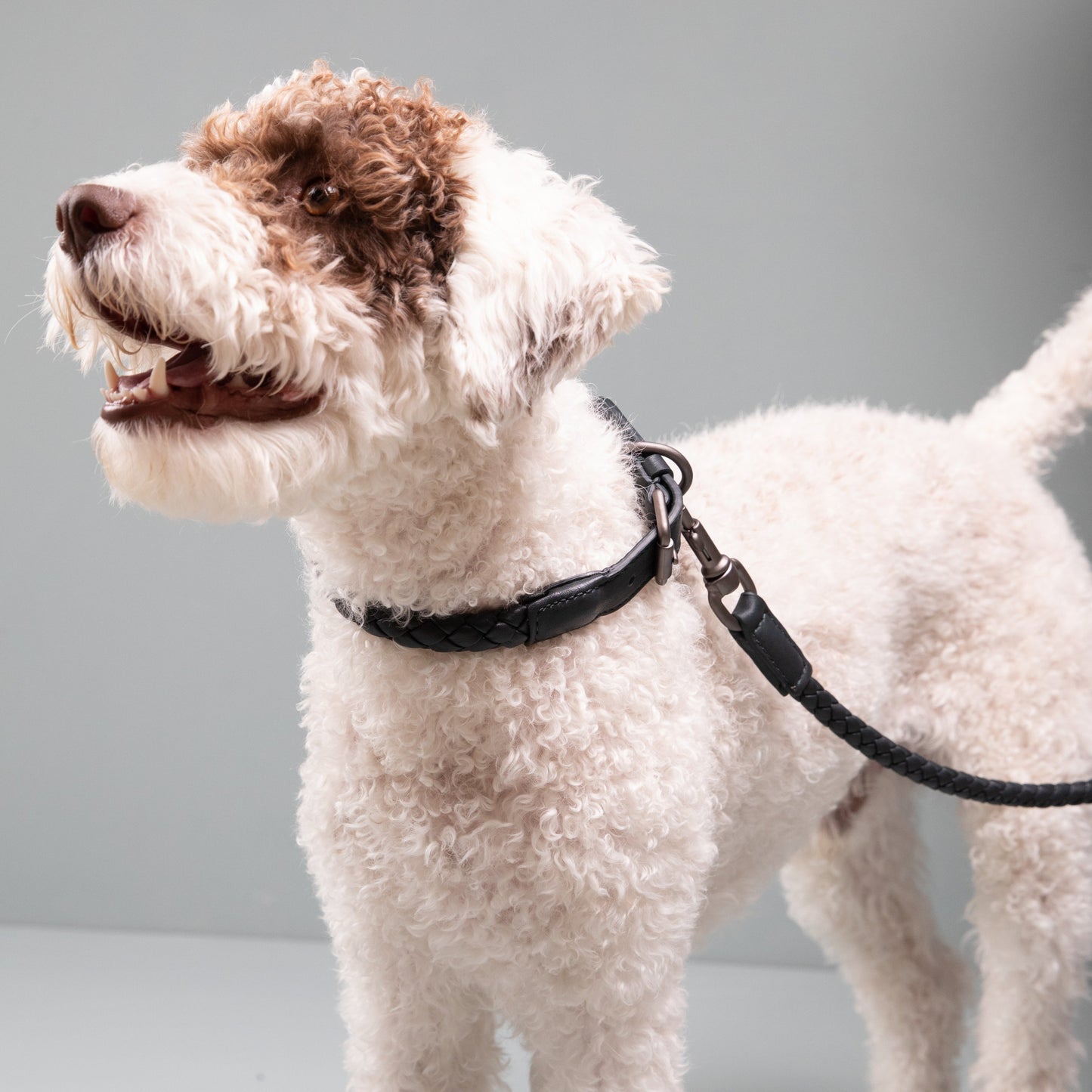 Ferdinando - Real Nappa Leather Leash by 2.8