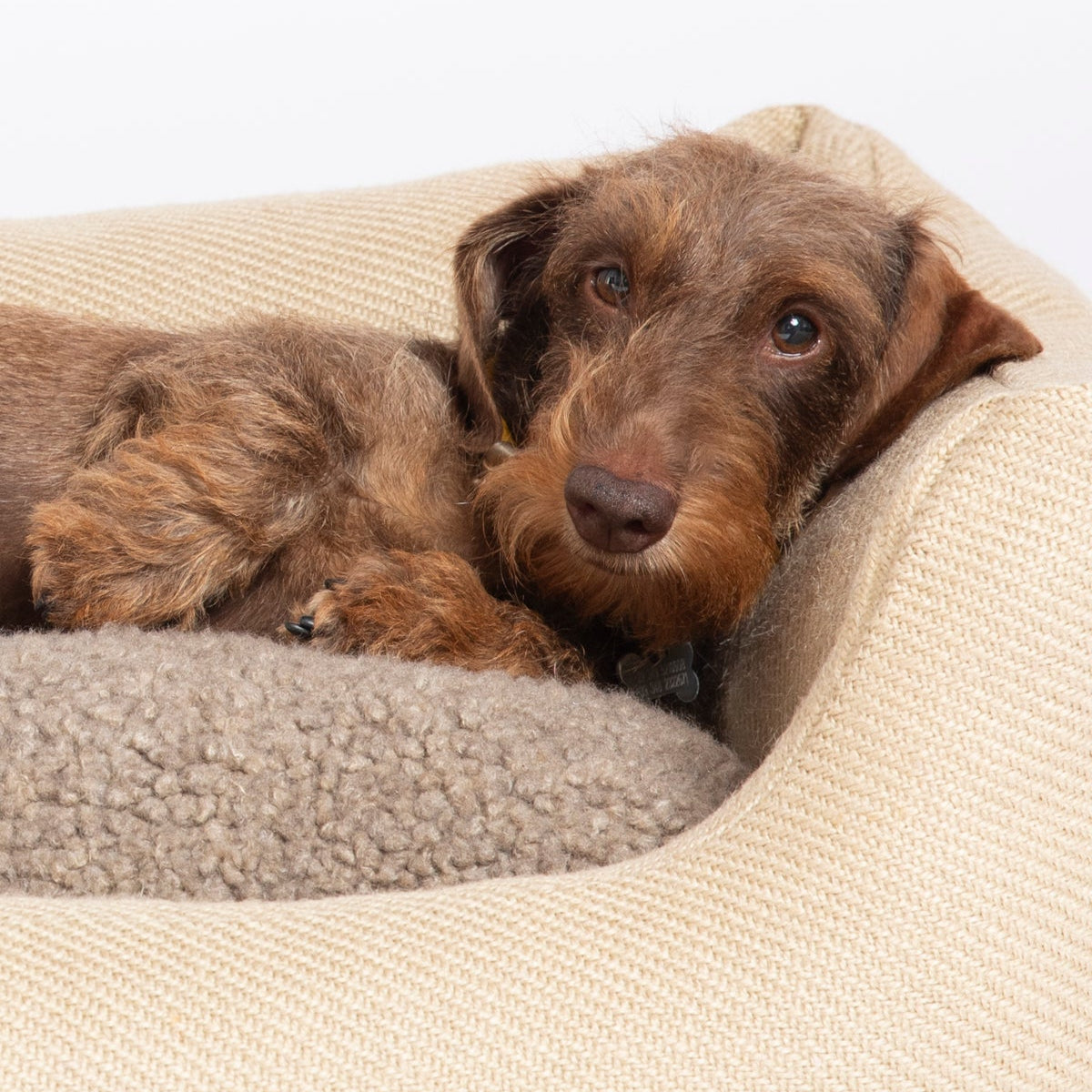 Henri - Jute Dog Bed by 2.8