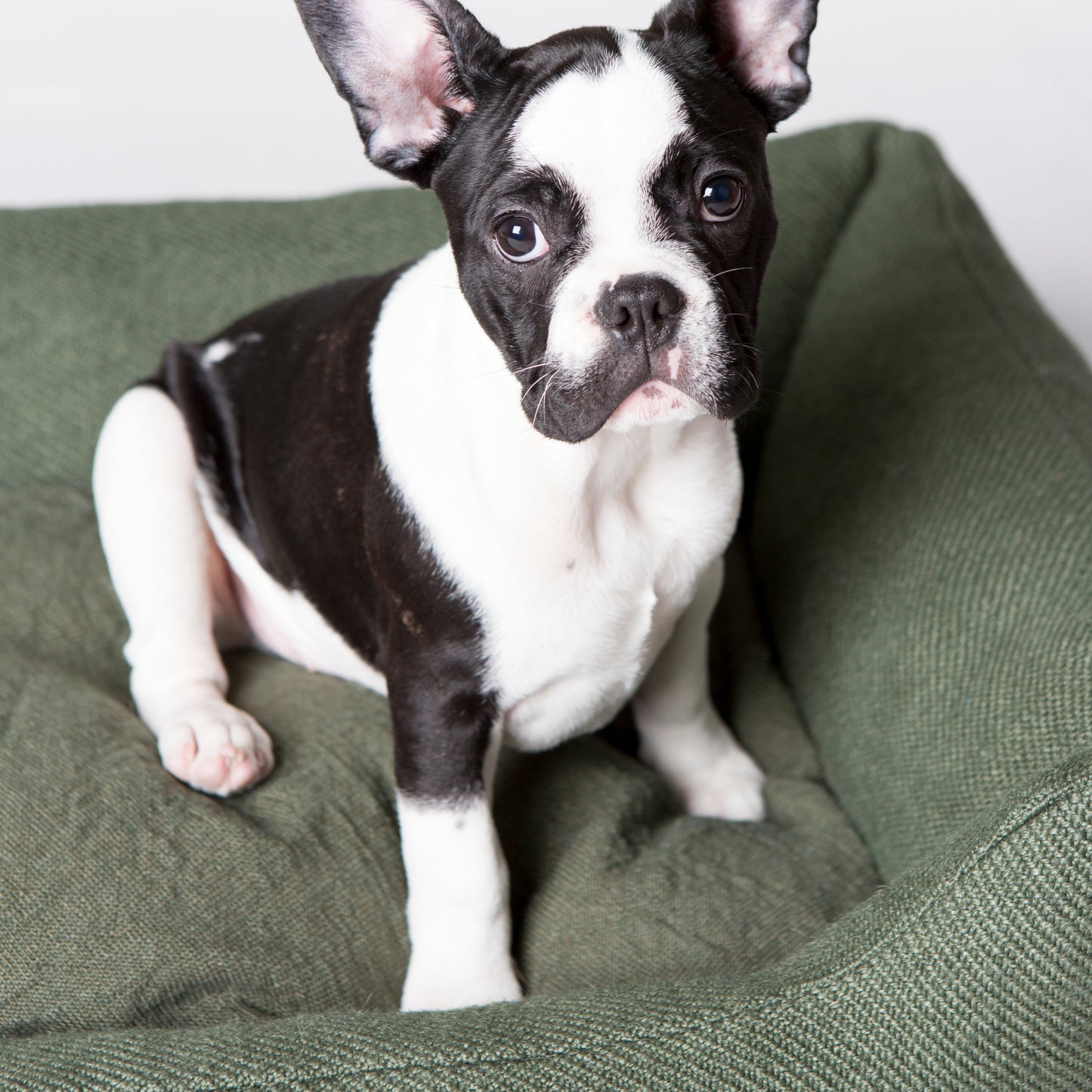 Henri - Jute Dog Bed by 2.8