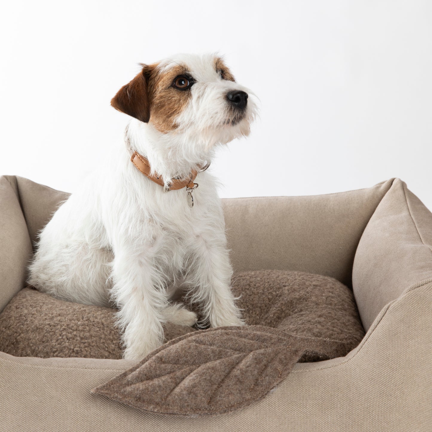 Henri - Organic Cotton Dog Bed by 2.8