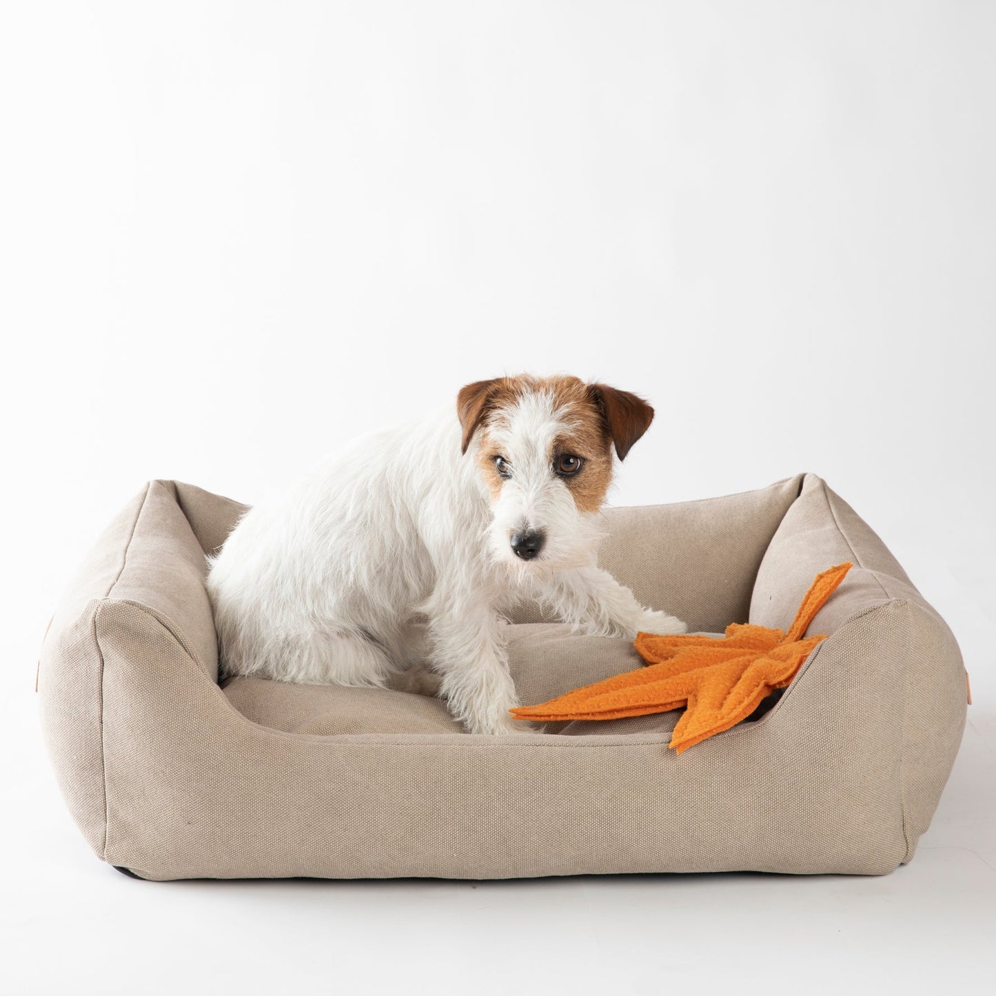 Henri - Organic Cotton Dog Bed by 2.8