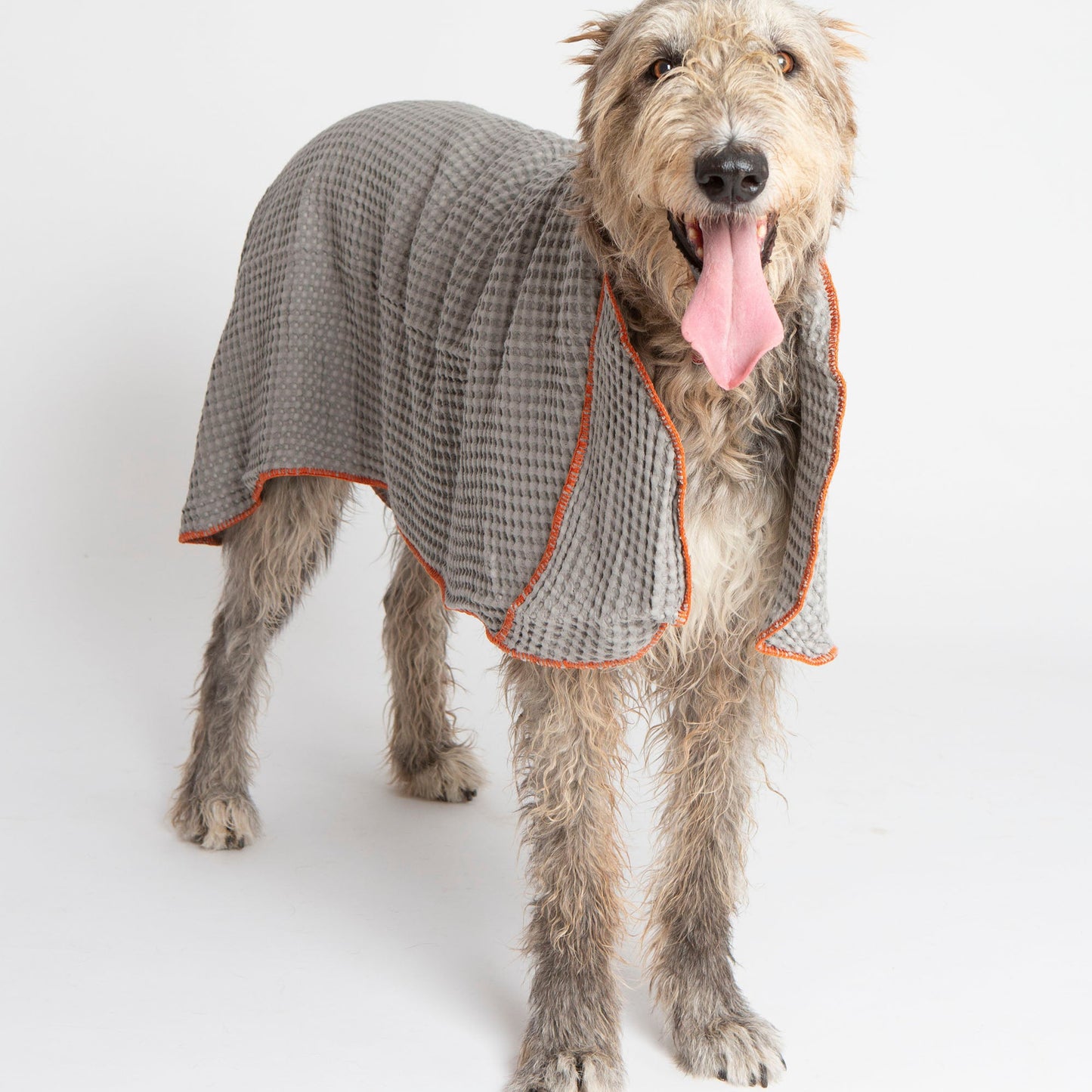 Sally - Cotton Dog Towel by 2.8