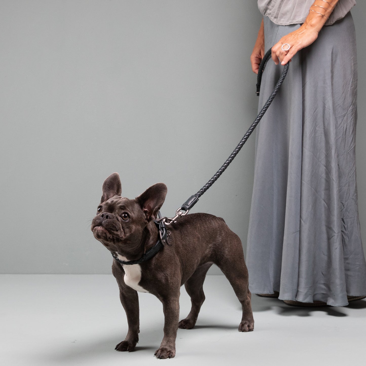 Ferdinando - Real Nappa Leather Leash by 2.8