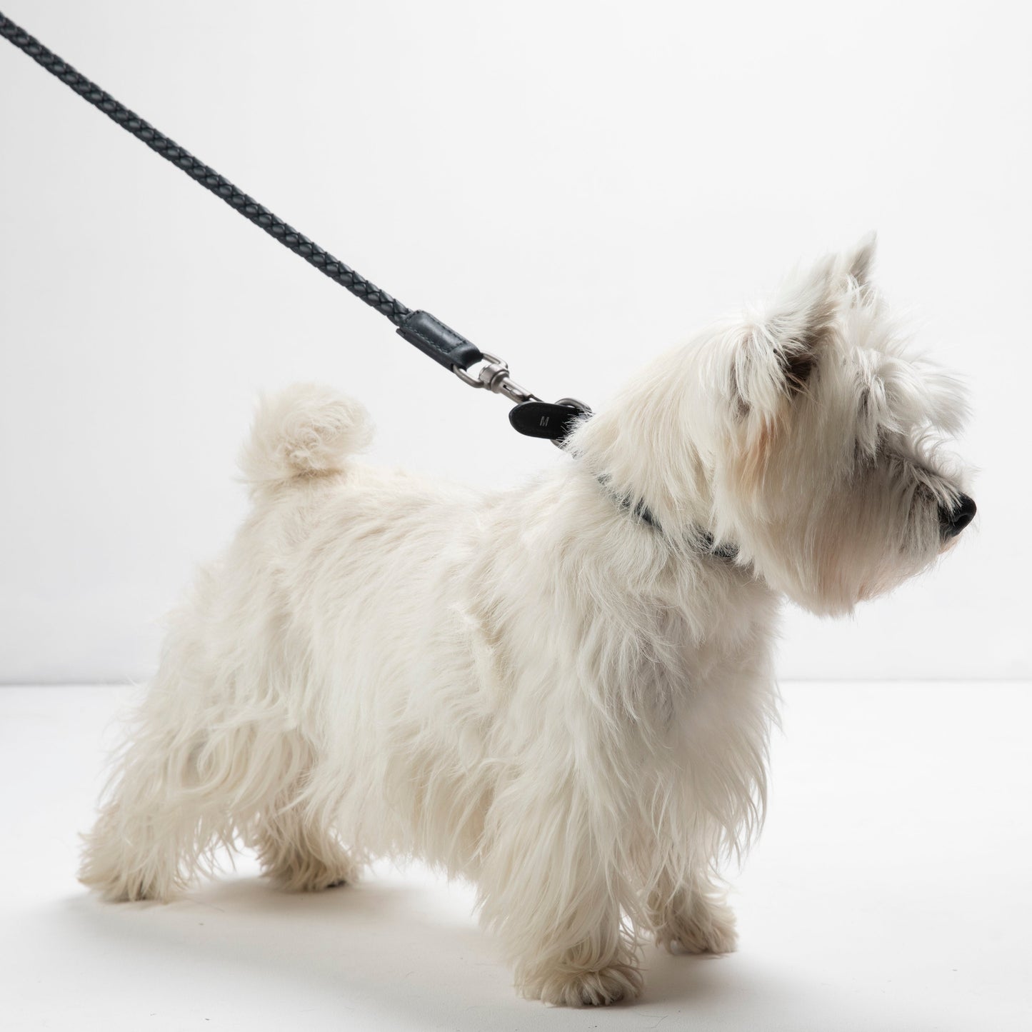 Ferdinando - Real Nappa Leather Leash by 2.8