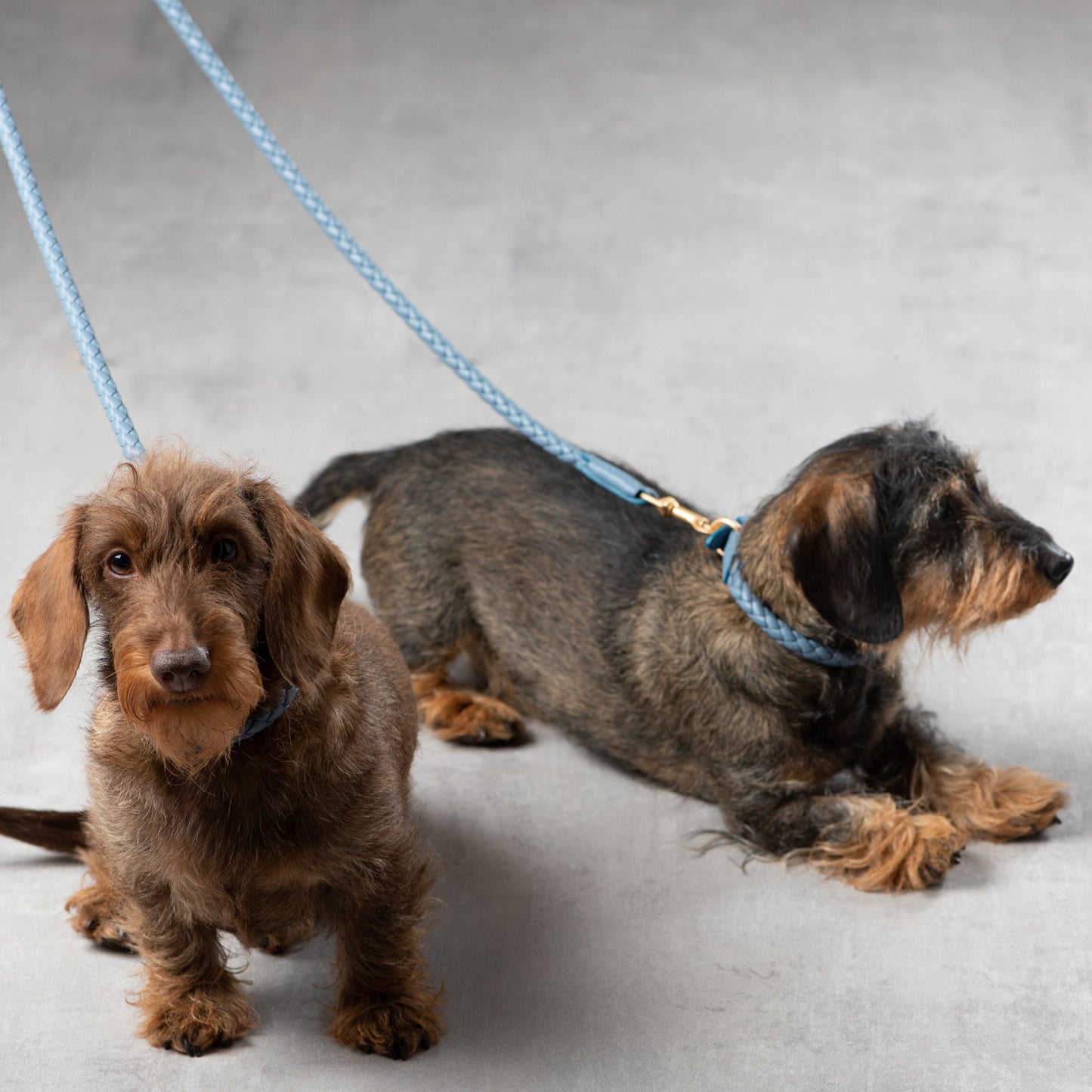 Ferdinando - Real Nappa Leather Leash by 2.8