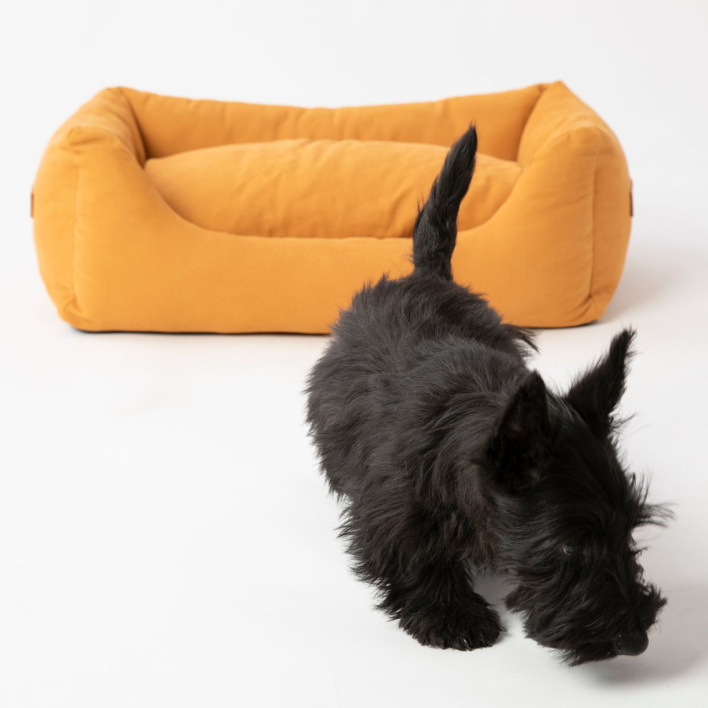 Henri - Cotton Dog Bed by 2.8