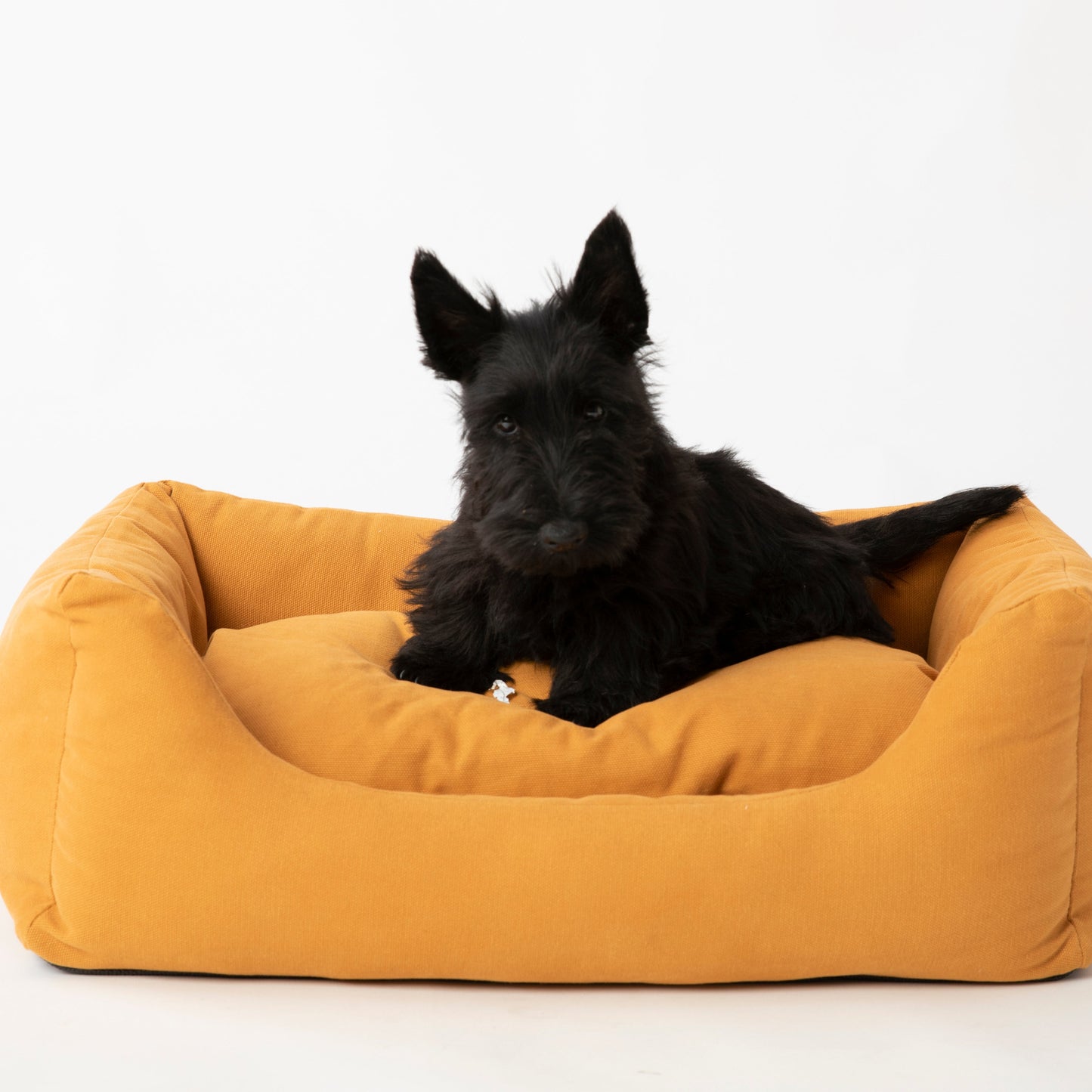 Henri - Cotton Dog Bed by 2.8