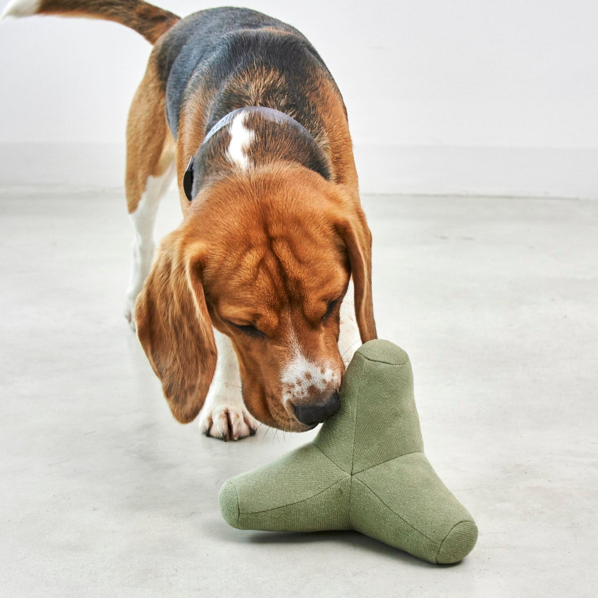 Quattro - Dog Toy by MiaCara