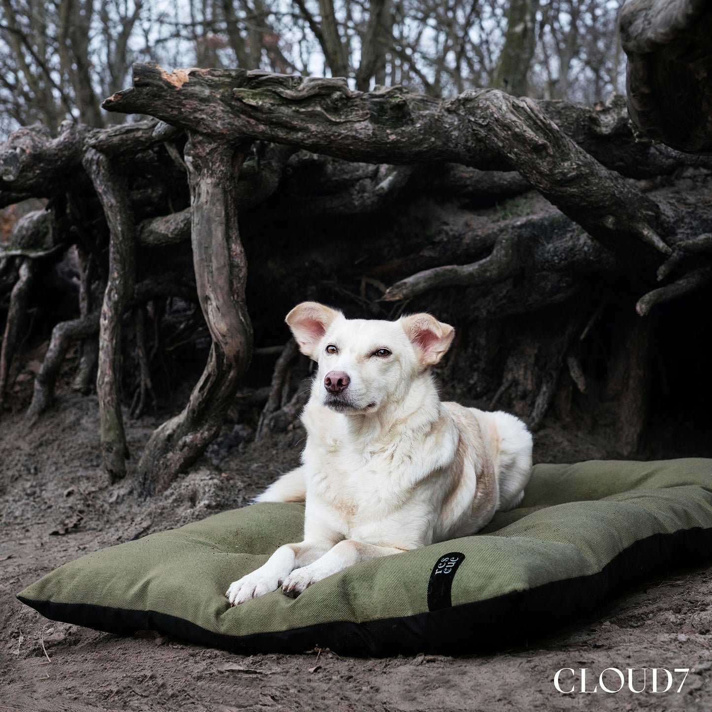 RESC7UE - Dog Pillow by Cloud7
