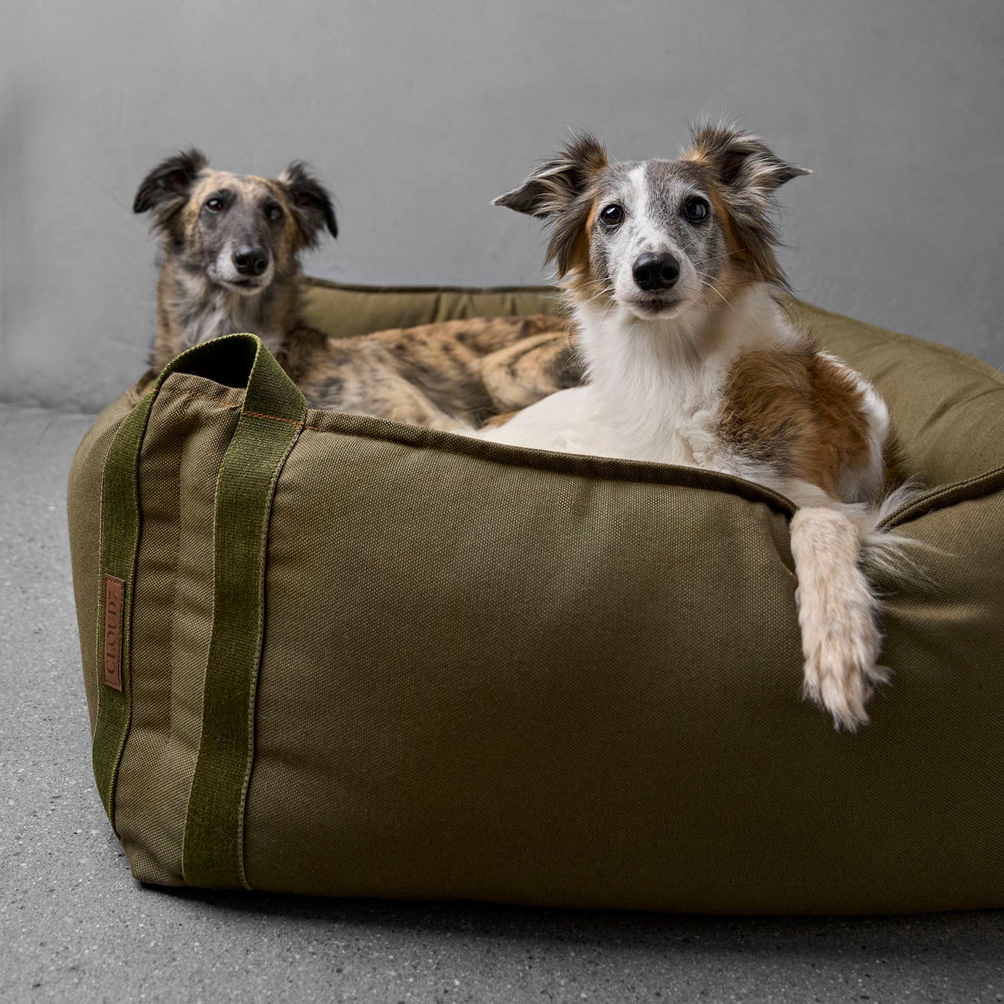 Boost - Canvas Dog Bed by Cloud7