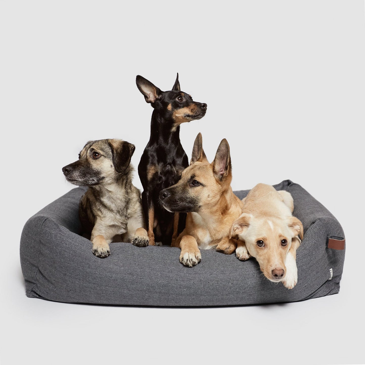 Sleepy Deluxe - Dog Bed by Cloud7