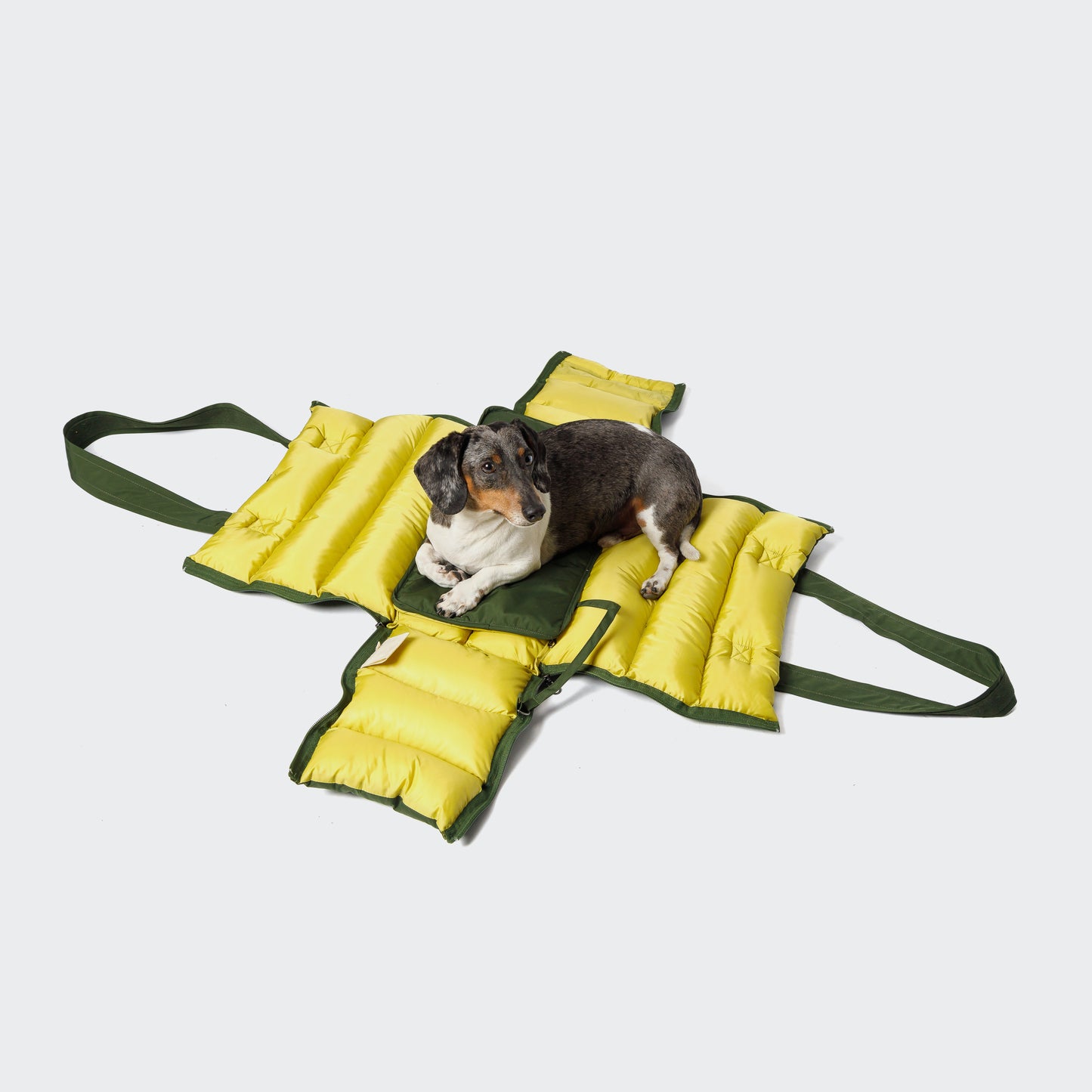 Montreal - Dog Carrier 2-in-1 by Cloud7