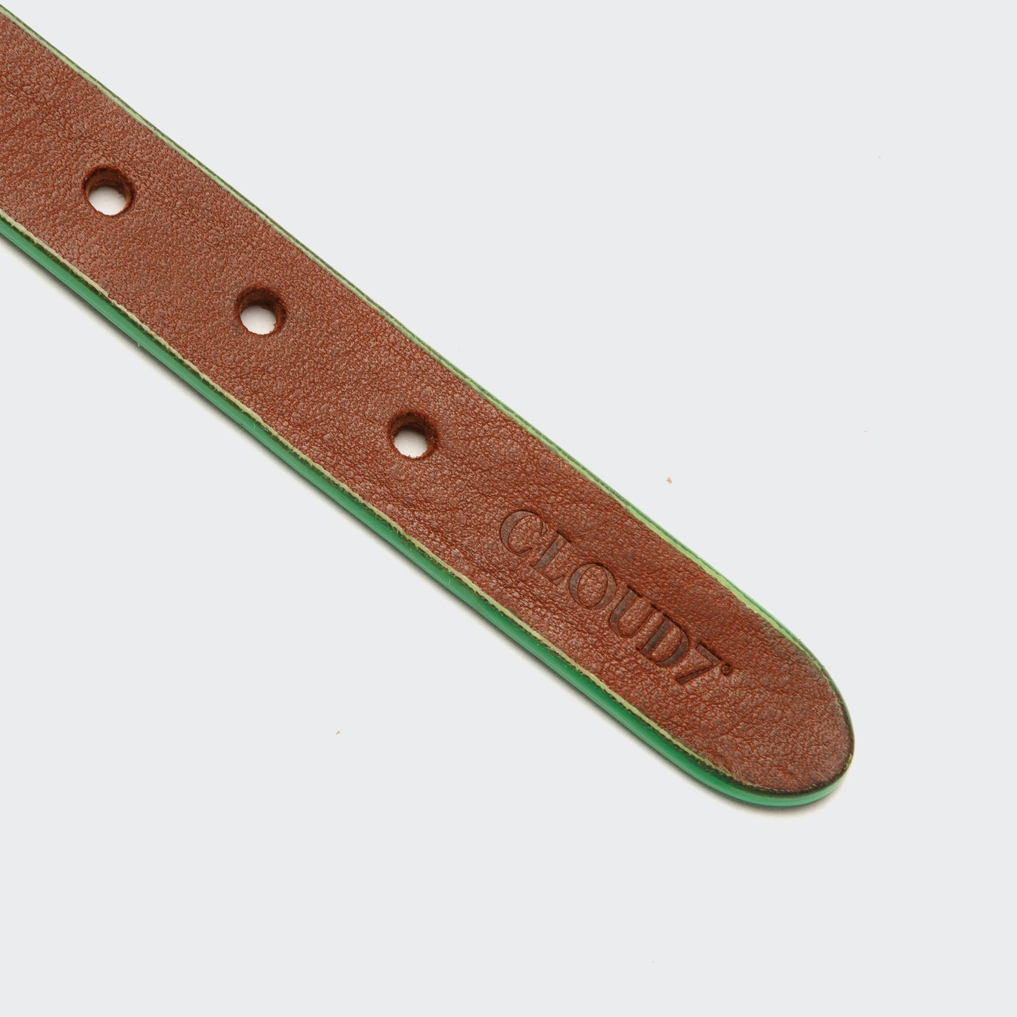 Prince Park - Collar for small dog by Cloud7