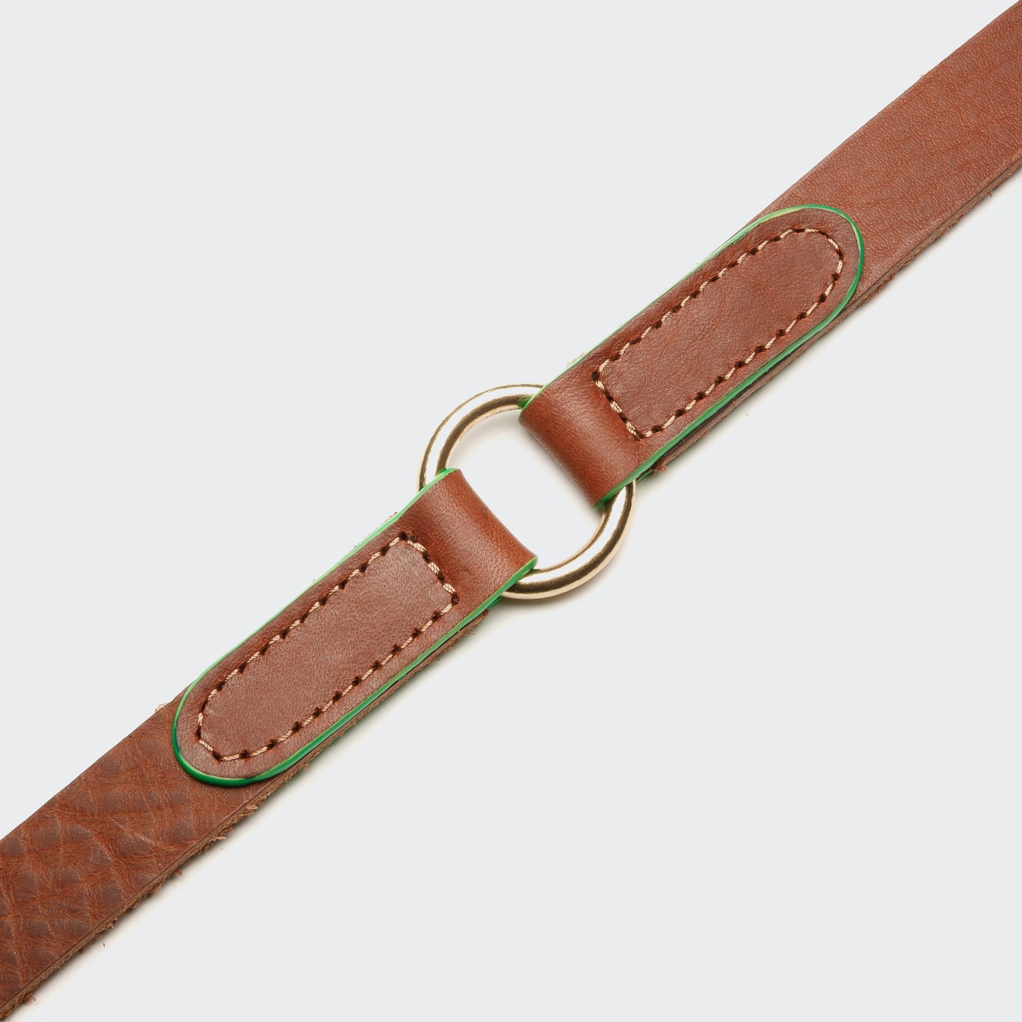 King Park - Leash for large dog by Cloud7