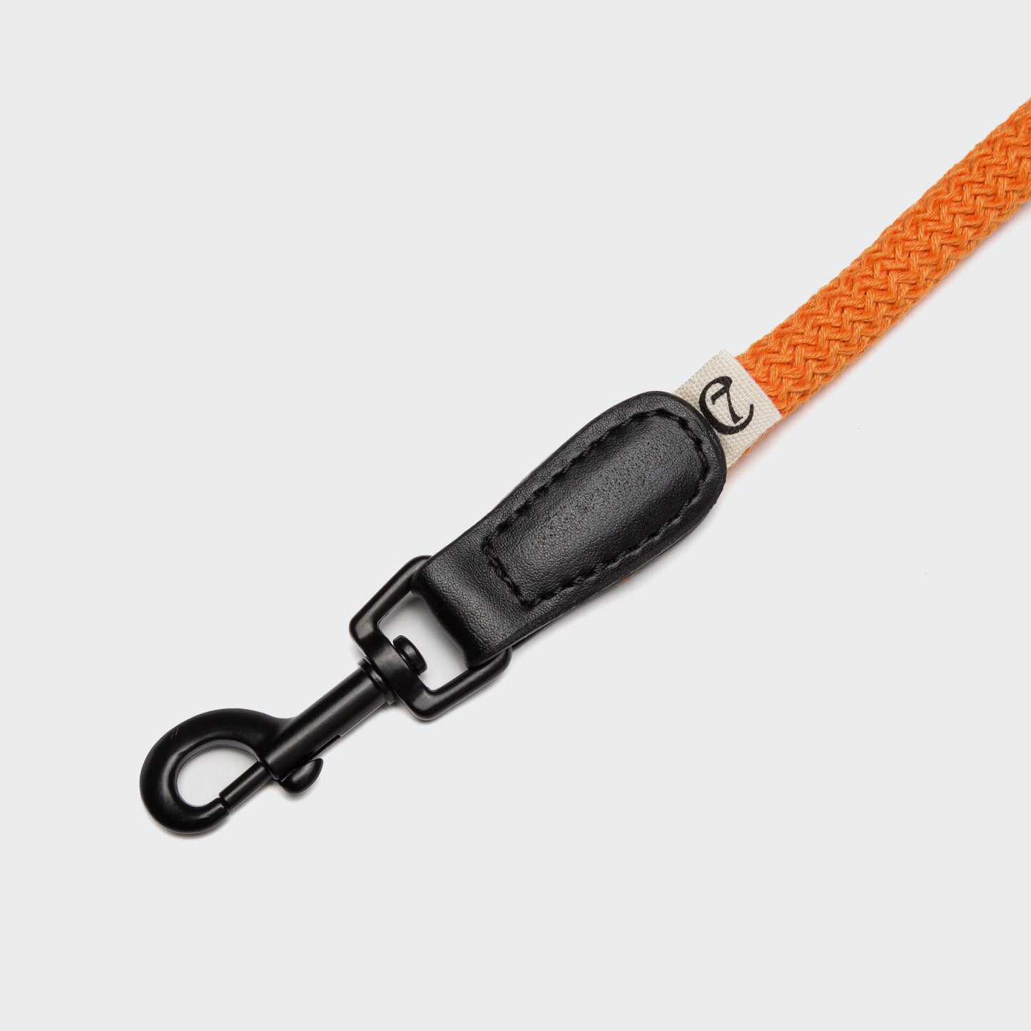 Mauerpark - Leash by Cloud7