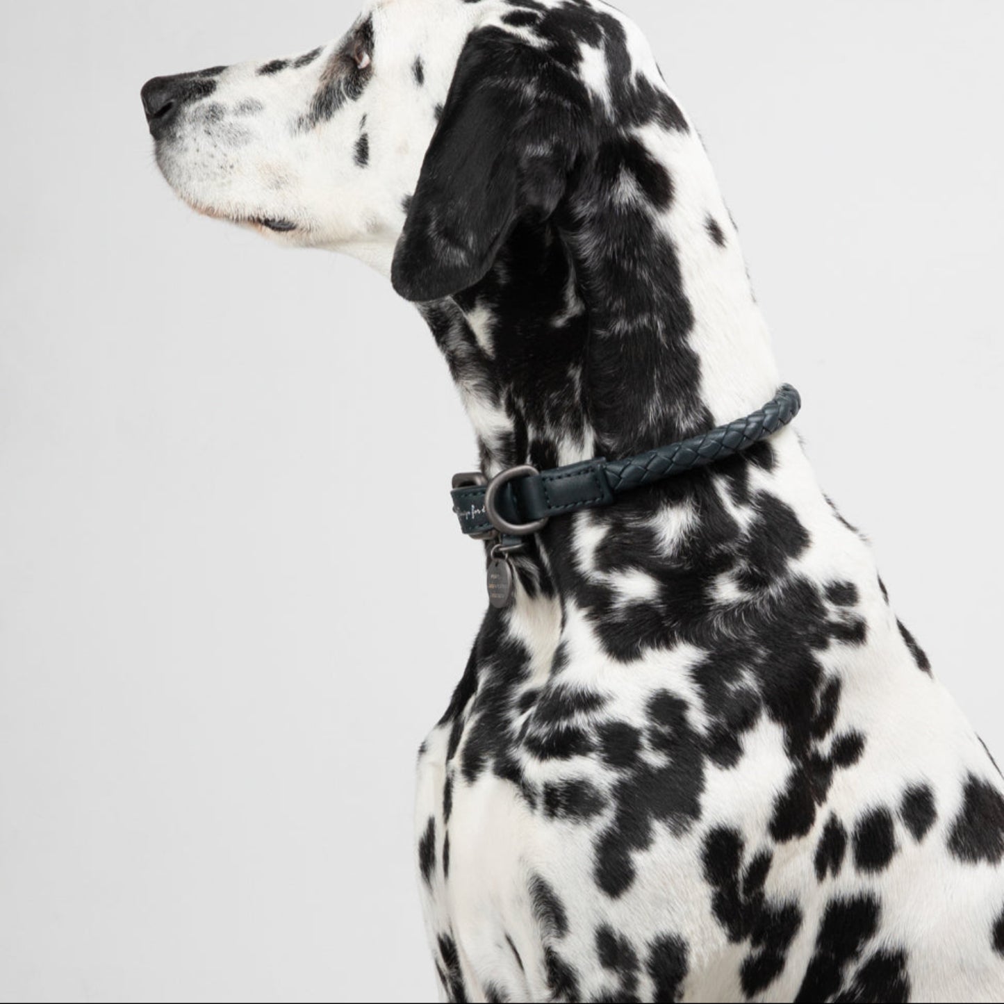 Ferdinando - Real Nappa Leather Collar by 2.8