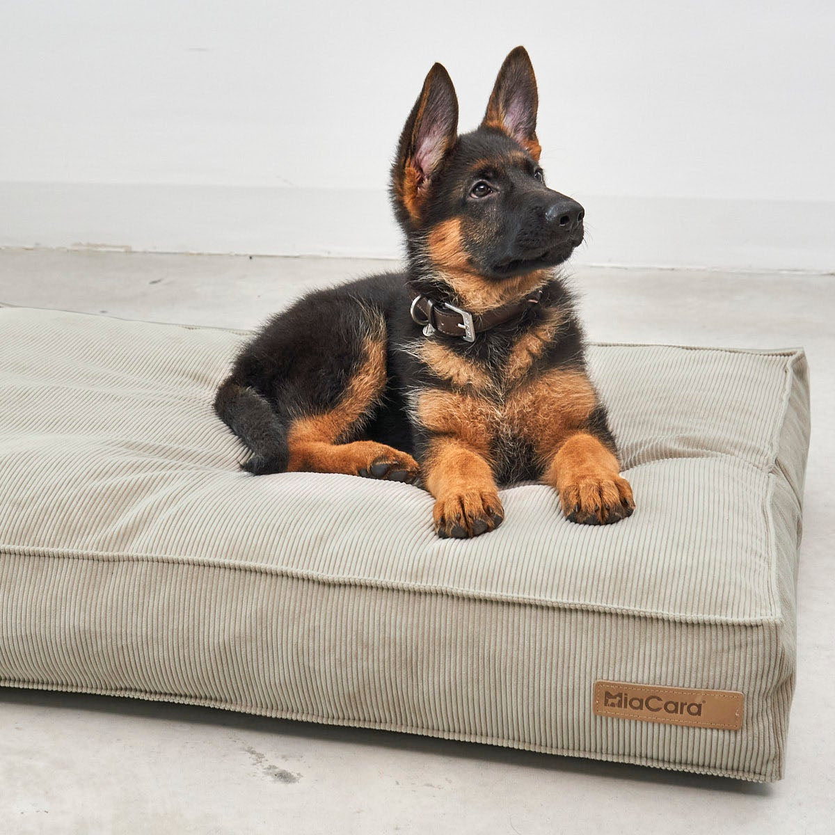 Cordo - Dog Cushion by MiaCara