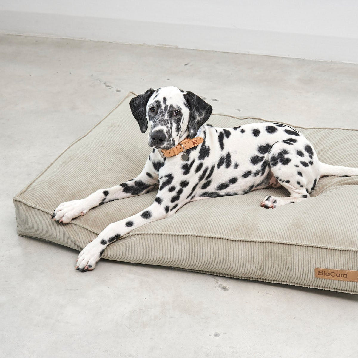 Cordo - Dog Cushion by MiaCara