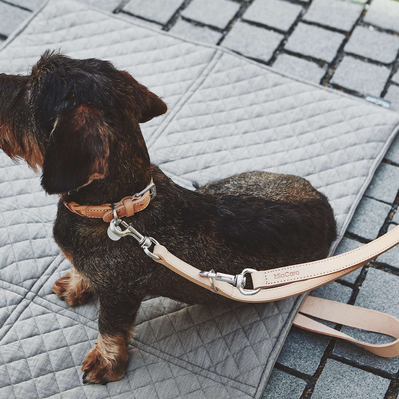 Bergamo - Smooth Leash by MiaCara