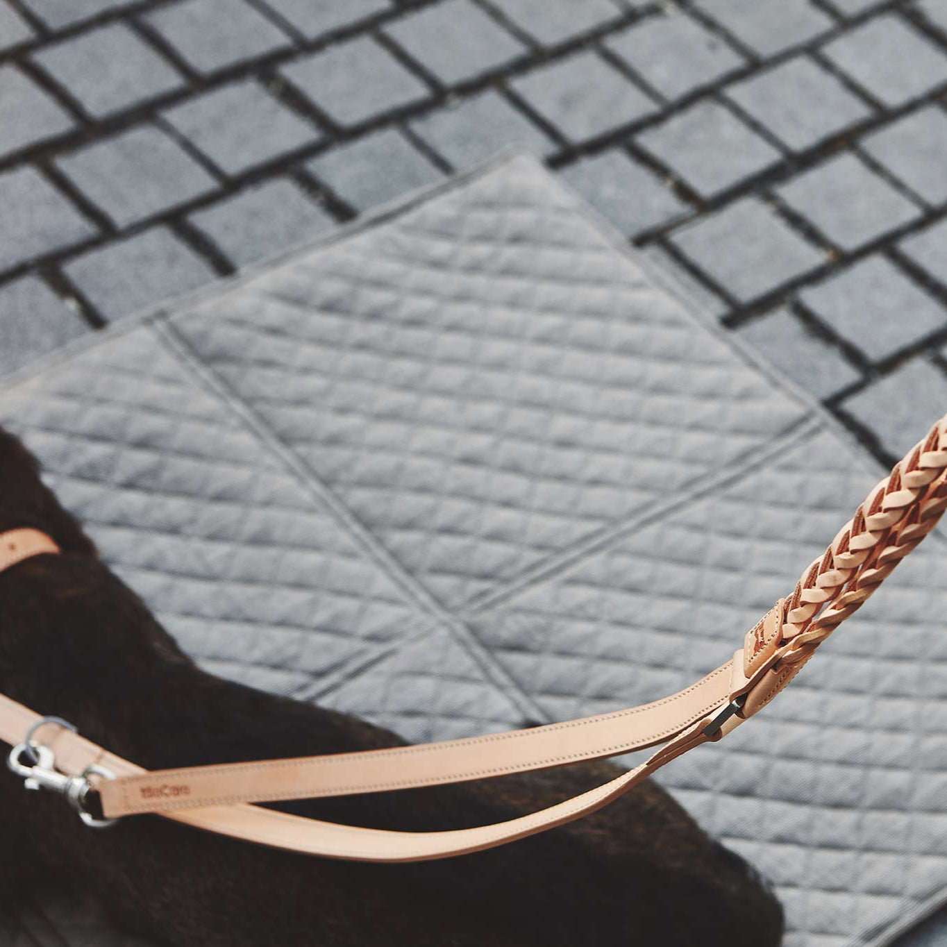 Bergamo - Braided Leash by MiaCara