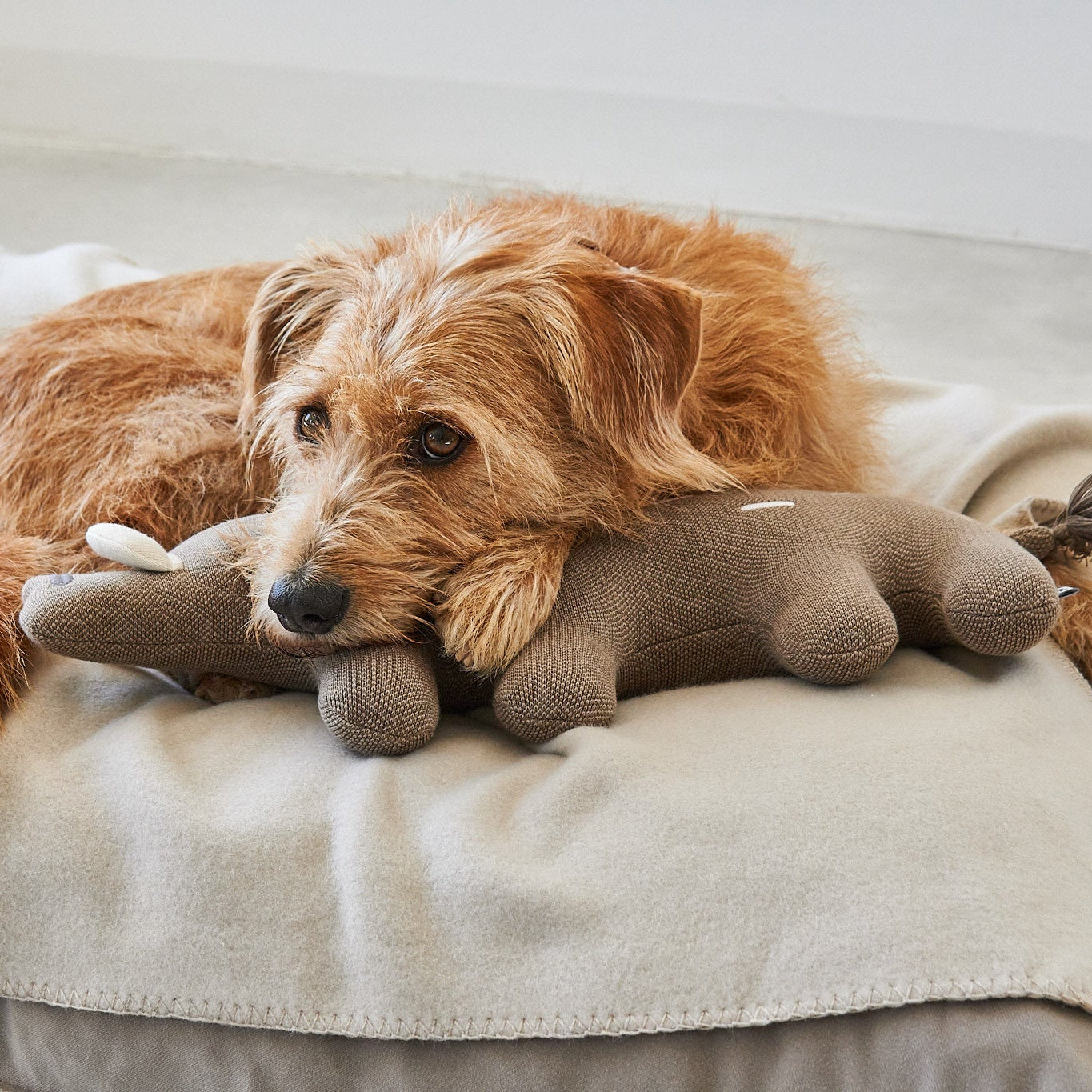 Bosco - Soft Toy by MiaCara