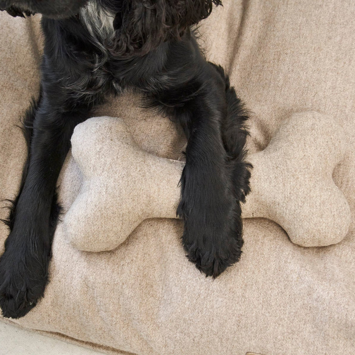 Calma - Dog Toy by MiaCara