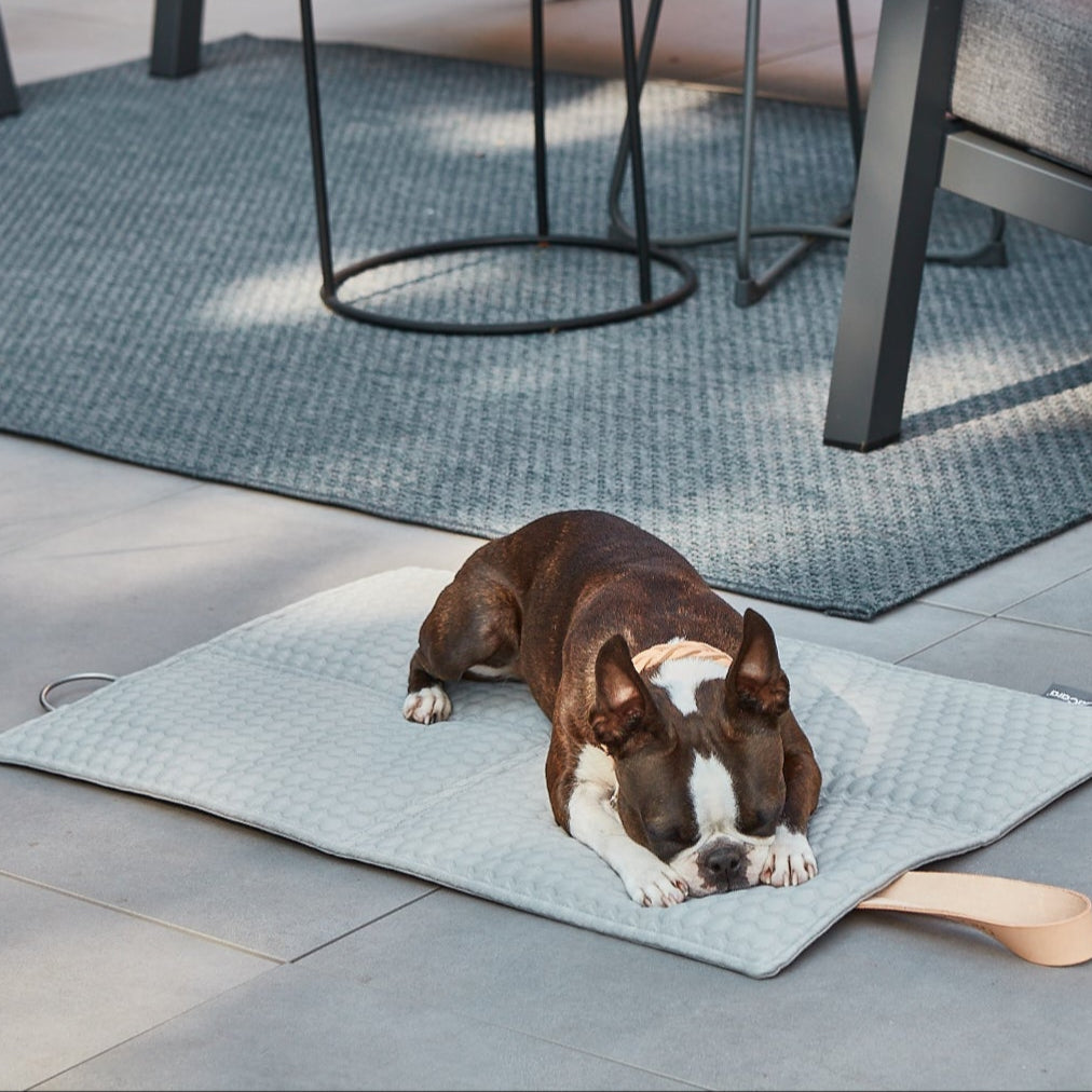 Cosmo - Dog Travel Bed by MiaCara