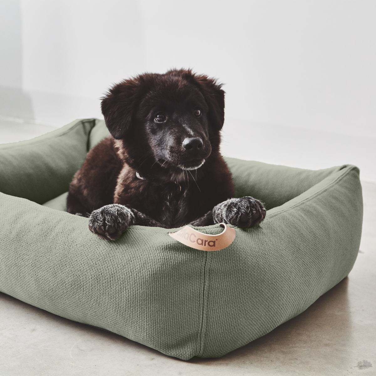 Sonno - Dog Bed by MiaCara
