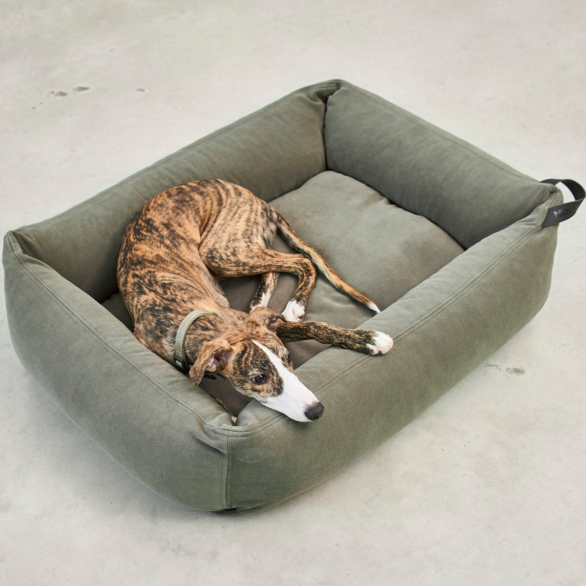 Comodo - Dog Bed by MiaCara