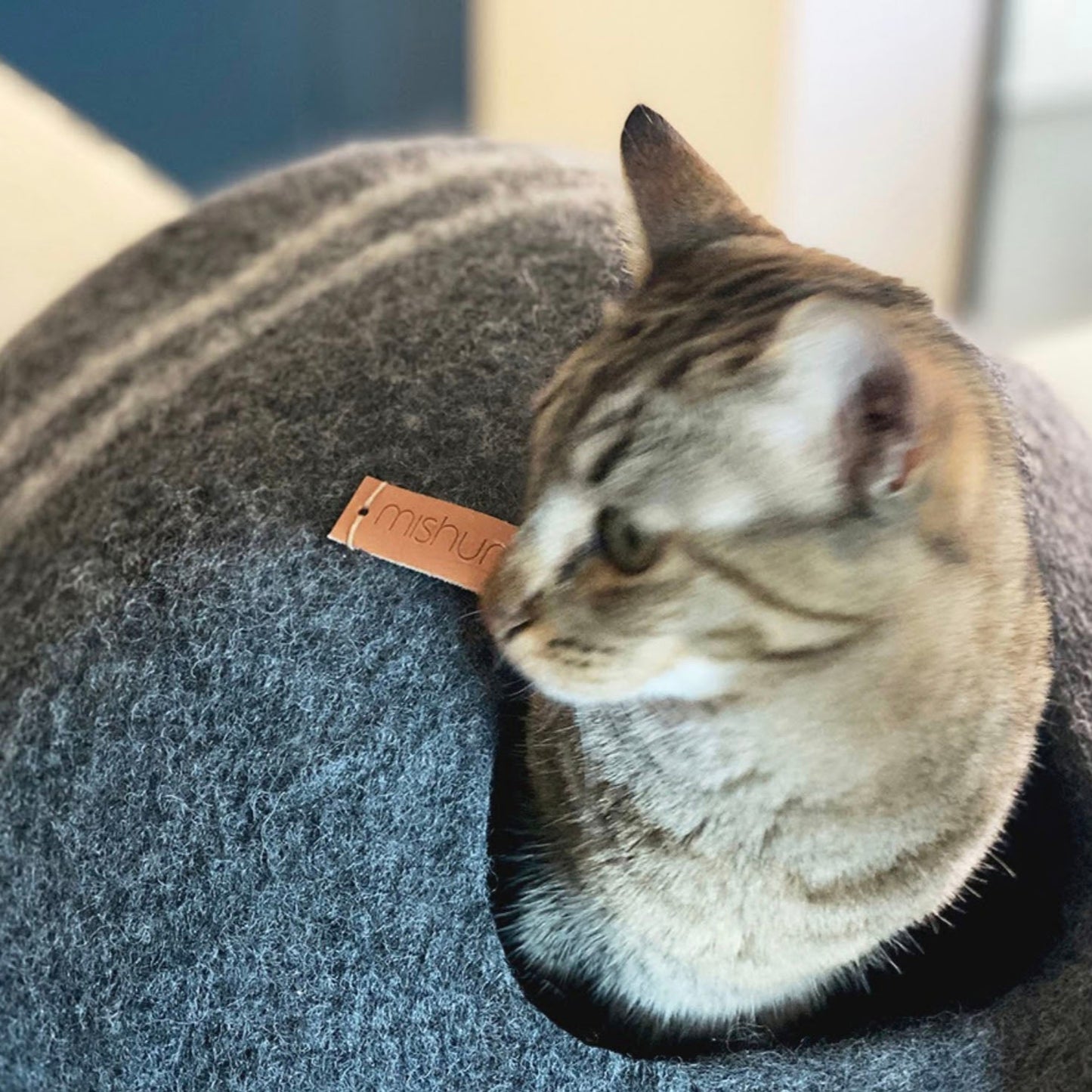 Petra Cave - Cat Furniture by Mishum