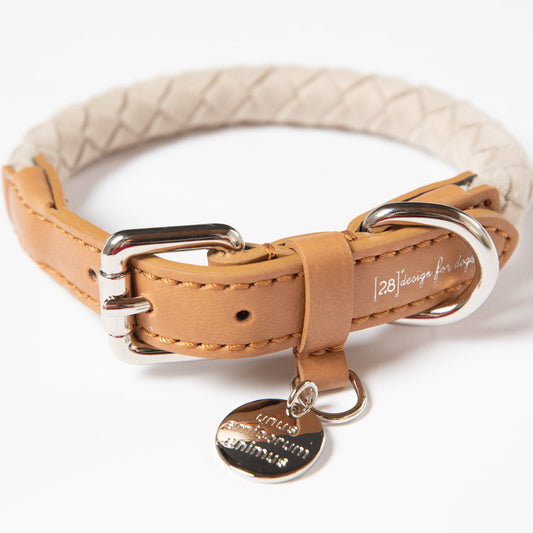 Ferdinando - Microfiber Collar by 2.8