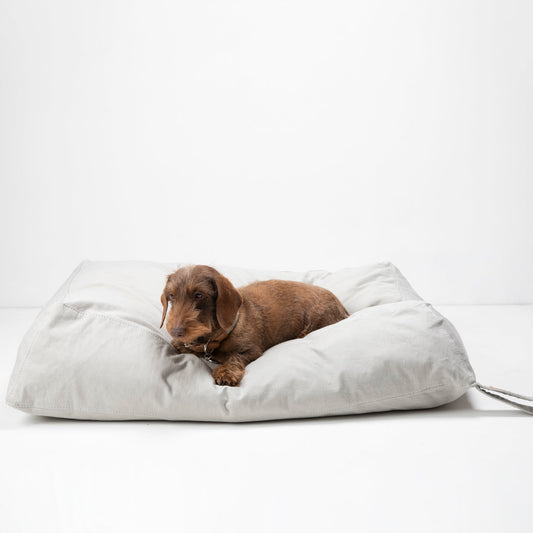Yousuf - Canvas Cotton Dog Cushion by 2.8