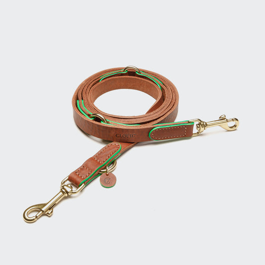 King Park - Leash for large dog by Cloud7