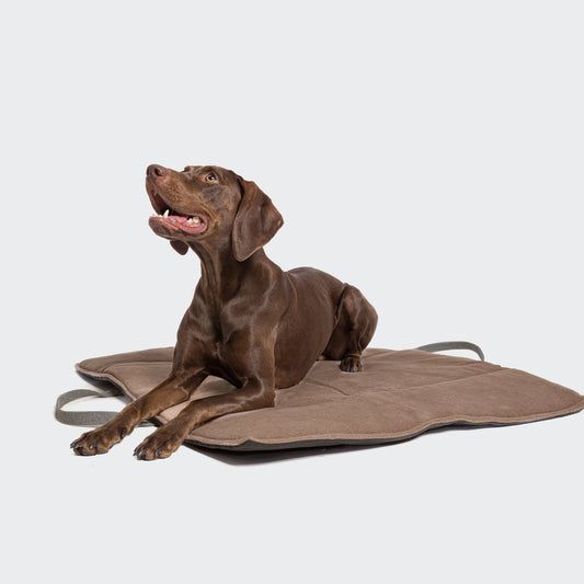 Water Repellent Dog Travel Bed by Cloud7