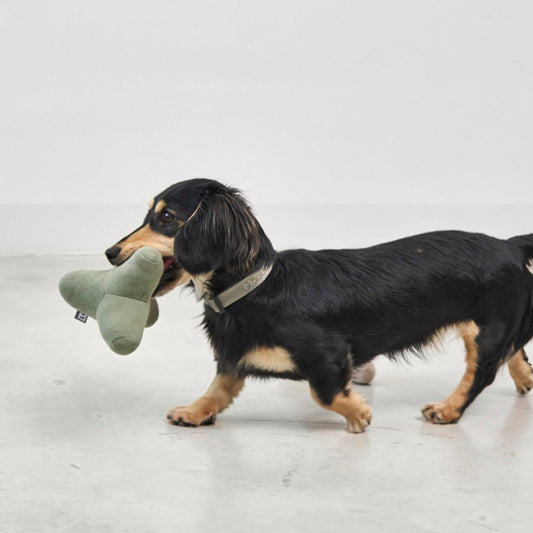 Quattro - Dog Toy by MiaCara