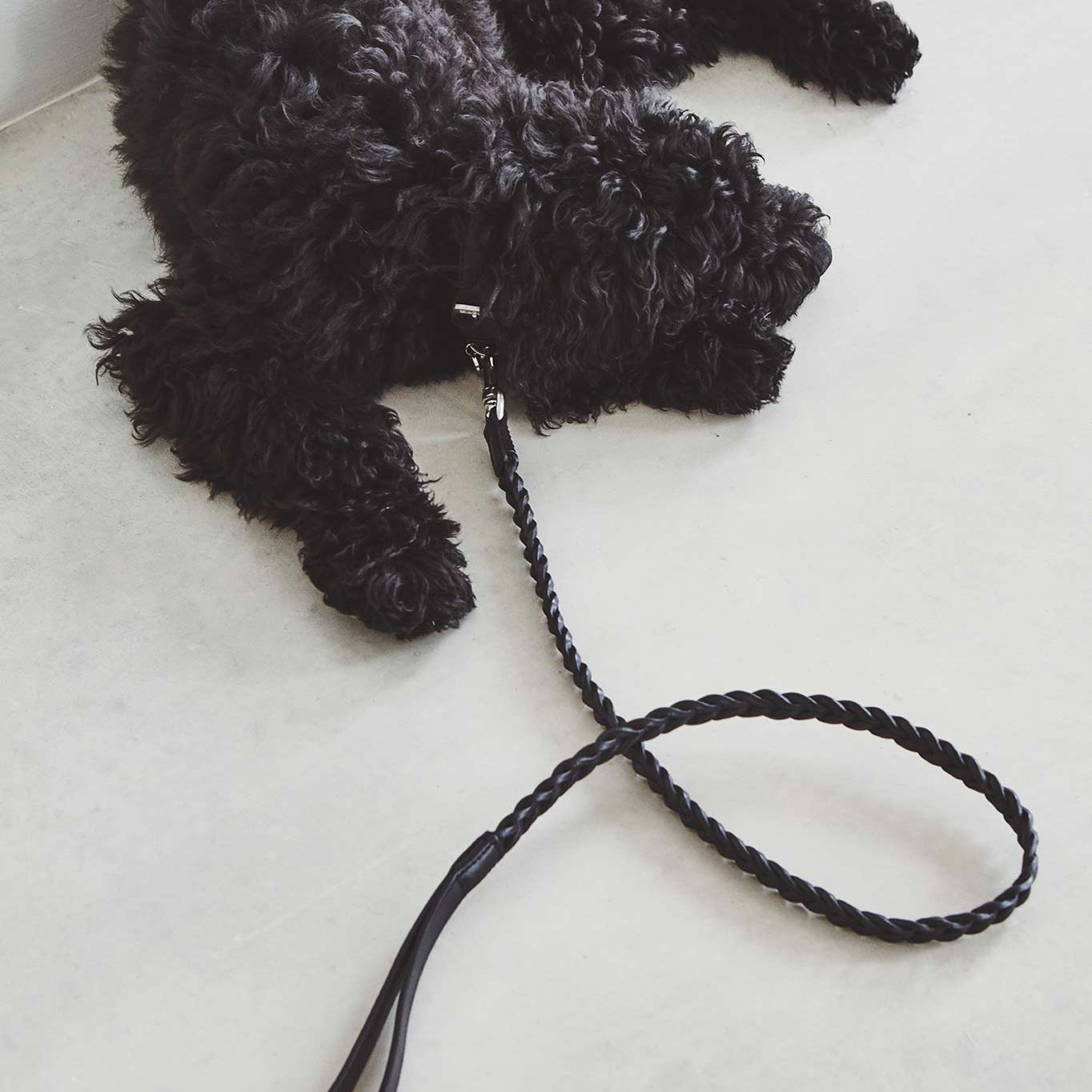 Bergamo - Braided Leash by MiaCara
