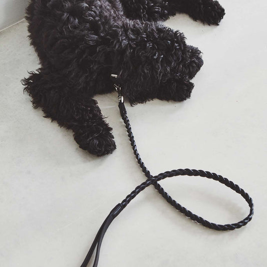 Bergamo - Braided Leash by MiaCara